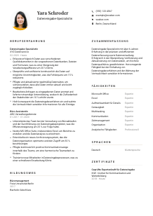 Lebenslauf-Vorlage für Dateneingabe-Spezialist*in #1