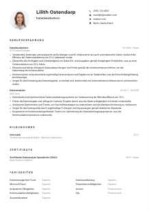 Lebenslauf-Muster für Datenbearbeiter*in
