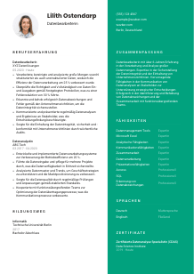Lebenslauf-Vorlage für Datenbearbeiter*in #2