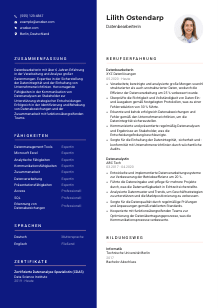 Lebenslauf-Vorlage für Datenbearbeiter*in #3