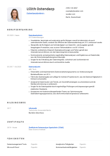 Lebenslauf-Vorlage für Datenbearbeiter*in #1