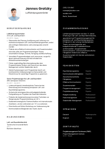 Lebenslauf-Vorlage für Luftfahrtprogrammleiter*in #3