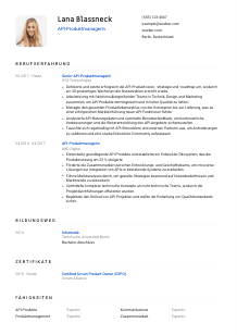 Lebenslauf-Vorlage für API-Produktmanager*in #1