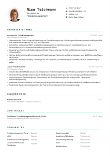 Lebenslauf-Vorlage für Assistenz im Produktmanagement #3