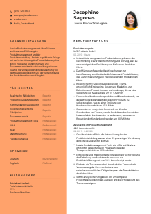 Lebenslauf-Vorlage für Junior Produktmanager*in #3