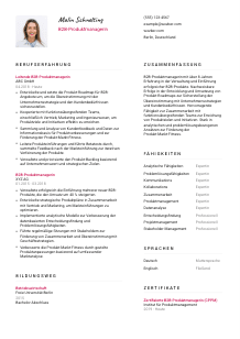 Lebenslauf-Vorlage für B2B-Produktmanager*in #2