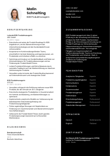 Lebenslauf-Vorlage für B2B-Produktmanager*in #3