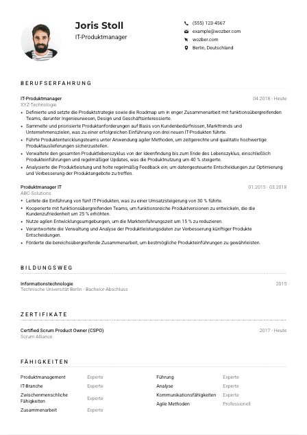 Lebenslauf-Muster für IT-Produktmanager*in