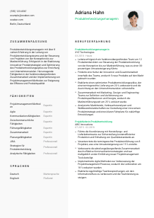 Lebenslauf-Vorlage für Produktentwicklungsmanager*in #2