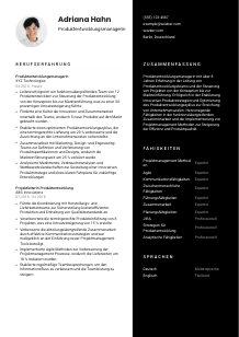 Lebenslauf-Vorlage für Produktentwicklungsmanager*in #3