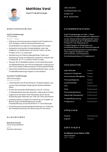 Lebenslauf-Vorlage für SaaS-Produktmanager*in #3