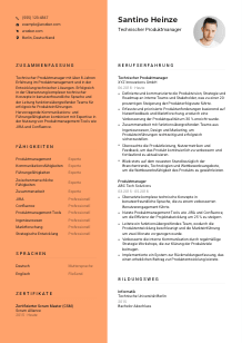 Lebenslauf-Vorlage für Technische*r Produktmanager*in #3