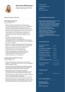 Lebenslauf-Vorlage für Regierungsprogrammleiter*in #2
