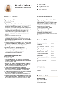 Lebenslauf-Vorlage für Regierungsprogrammleiter*in #1