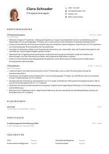 Lebenslauf-Muster für IT-Programmmanager*in