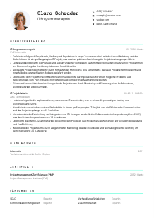 Lebenslauf-Vorlage für IT-Programmmanager*in #3