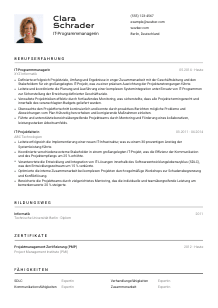 Lebenslauf-Vorlage für IT-Programmmanager*in #2