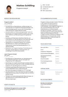Lebenslauf-Vorlage für Programm-Analyst*in #2