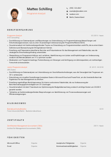 Lebenslauf-Vorlage für Programm-Analyst*in #3