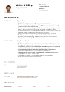 Lebenslauf-Vorlage für Programm-Analyst*in #1