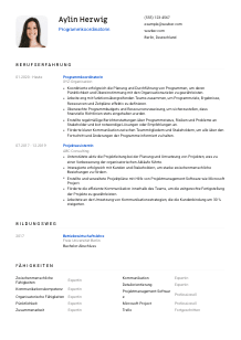 Lebenslauf-Vorlage für Programmkoordinator*in #1