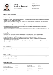 Lebenslauf-Vorlage für Programmmanager*in #2