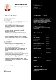Lebenslauf-Vorlage für Technische*r Programmleiter*in #3