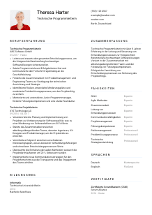 Lebenslauf-Vorlage für Technische*r Programmleiter*in #1