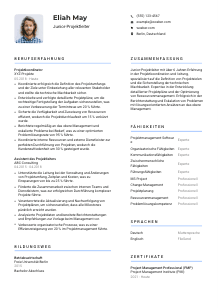Lebenslauf-Vorlage für Junior-Projektleiter*in #2
