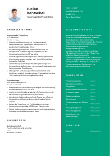 Lebenslauf-Vorlage für Kommerzieller Projektleiter*in #2