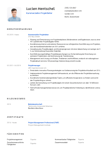 Lebenslauf-Vorlage für Kommerzieller Projektleiter*in #1