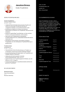 Lebenslauf-Vorlage für Kreativ-Projektleiter*in #3