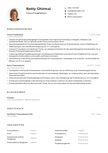 Lebenslauf-Muster für Finanz-Projektleiter*in