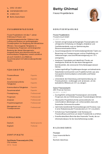 Lebenslauf-Vorlage für Finanz-Projektleiter*in #3
