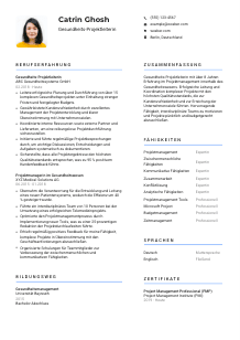 Lebenslauf-Vorlage für Gesundheits-Projektleiter*in #2