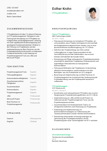 Lebenslauf-Vorlage für IT-Projektleiter*in #2