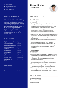 Lebenslauf-Vorlage für IT-Projektleiter*in #3