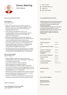 Lebenslauf-Vorlage für PMO-Direktor*in #2