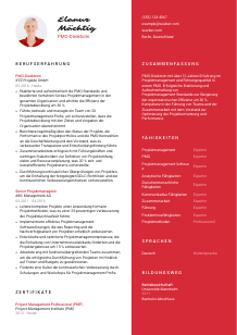 Lebenslauf-Vorlage für PMO-Direktor*in #3