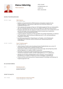 Lebenslauf-Vorlage für PMO-Direktor*in #1