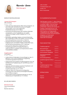 Lebenslauf-Vorlage für PMO-Manager*in #3