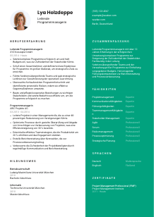 Lebenslauf-Vorlage für Leitende*r Programmmanager #2