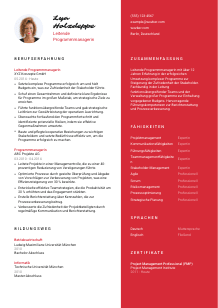 Lebenslauf-Vorlage für Leitende*r Programmmanager #3