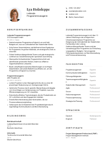 Lebenslauf-Vorlage für Leitende*r Programmmanager #1