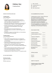 Lebenslauf-Vorlage für Projektanalyst*in #2