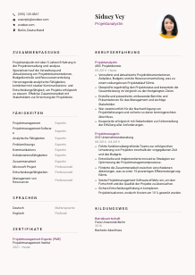 Lebenslauf-Vorlage für Projektanalyst*in #3