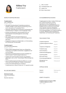 Lebenslauf-Vorlage für Projektanalyst*in #1