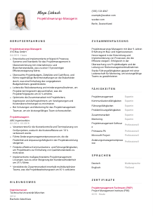 Lebenslauf-Vorlage für Projektsteuerungs-Manager*in #2