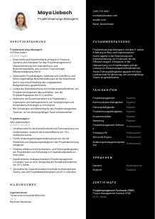 Lebenslauf-Vorlage für Projektsteuerungs-Manager*in #3