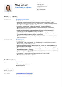 Lebenslauf-Vorlage für Projektsteuerungs-Manager*in #1